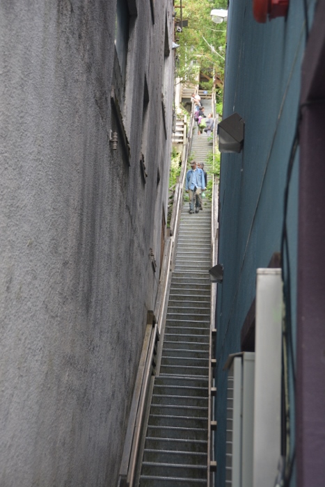 vertical staircase